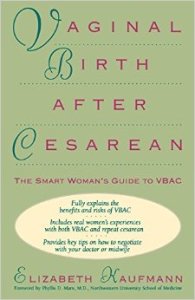 Vaginal Birth After Cesarean: The Smart Woman's Guide to VBAC