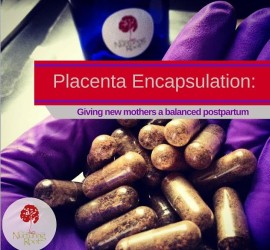 placenta encapsultation - baltimore birth services