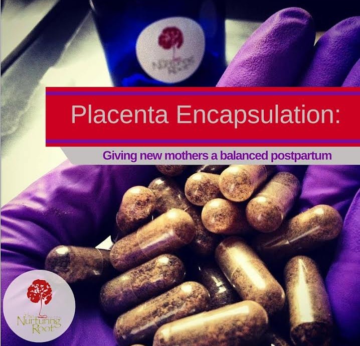 placenta encapsultation - baltimore birth services